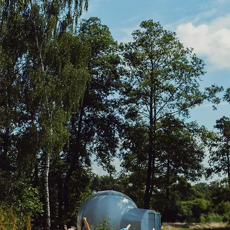 Narew By Golden Apartment